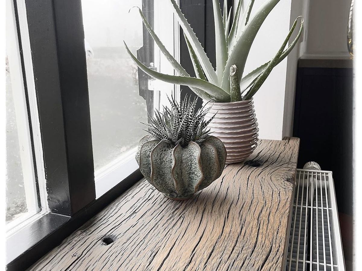 Oud eiken vensterbank met planten